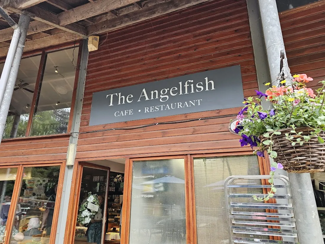 The Angelfish